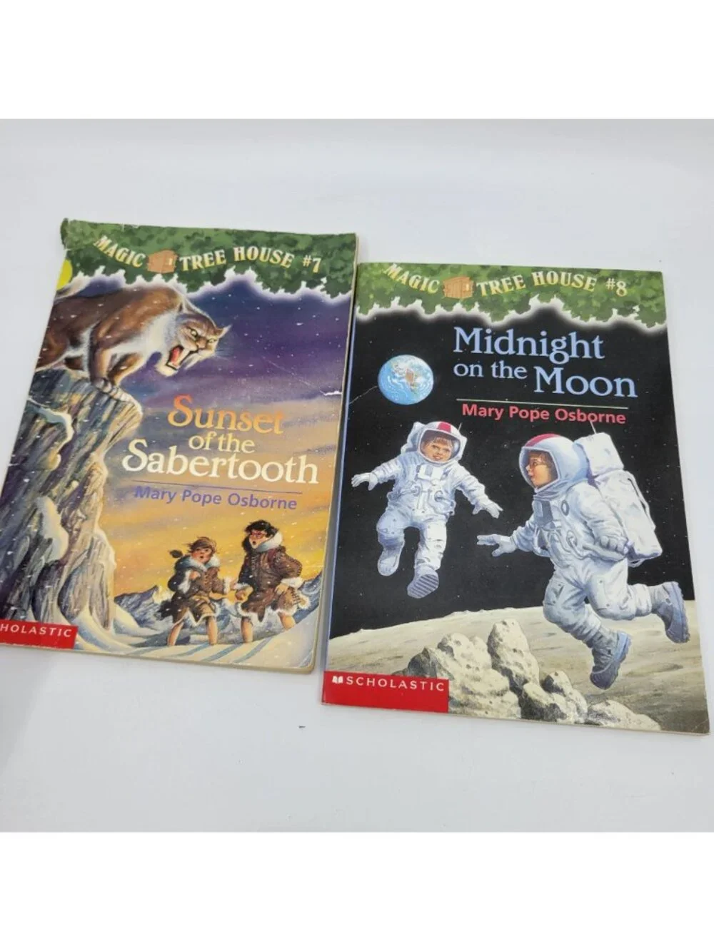 Scholastic magic tree